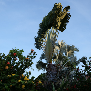 Lire la suite à propos de l’article J 2 – Installation suite …