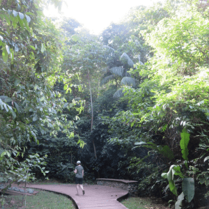 Lire la suite à propos de l’article Semaine 2 – Un peu d&rsquo;activité physique !