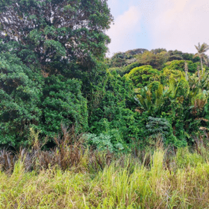 Lire la suite à propos de l’article J  1 – installation