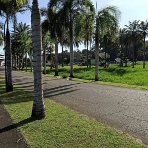 Lire la suite à propos de l’article Semaine 2 – Anse Bourda