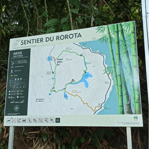 Lire la suite à propos de l’article Semaine 3 – Le sentier de Rorota