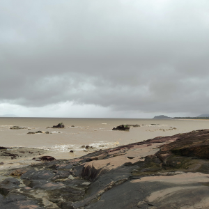 Lire la suite à propos de l’article Semaine 9 – Découverte de l&rsquo;Anse Bourda pour Denis