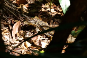 Lire la suite à propos de l’article Semaine 12 – petite promenade dominicale